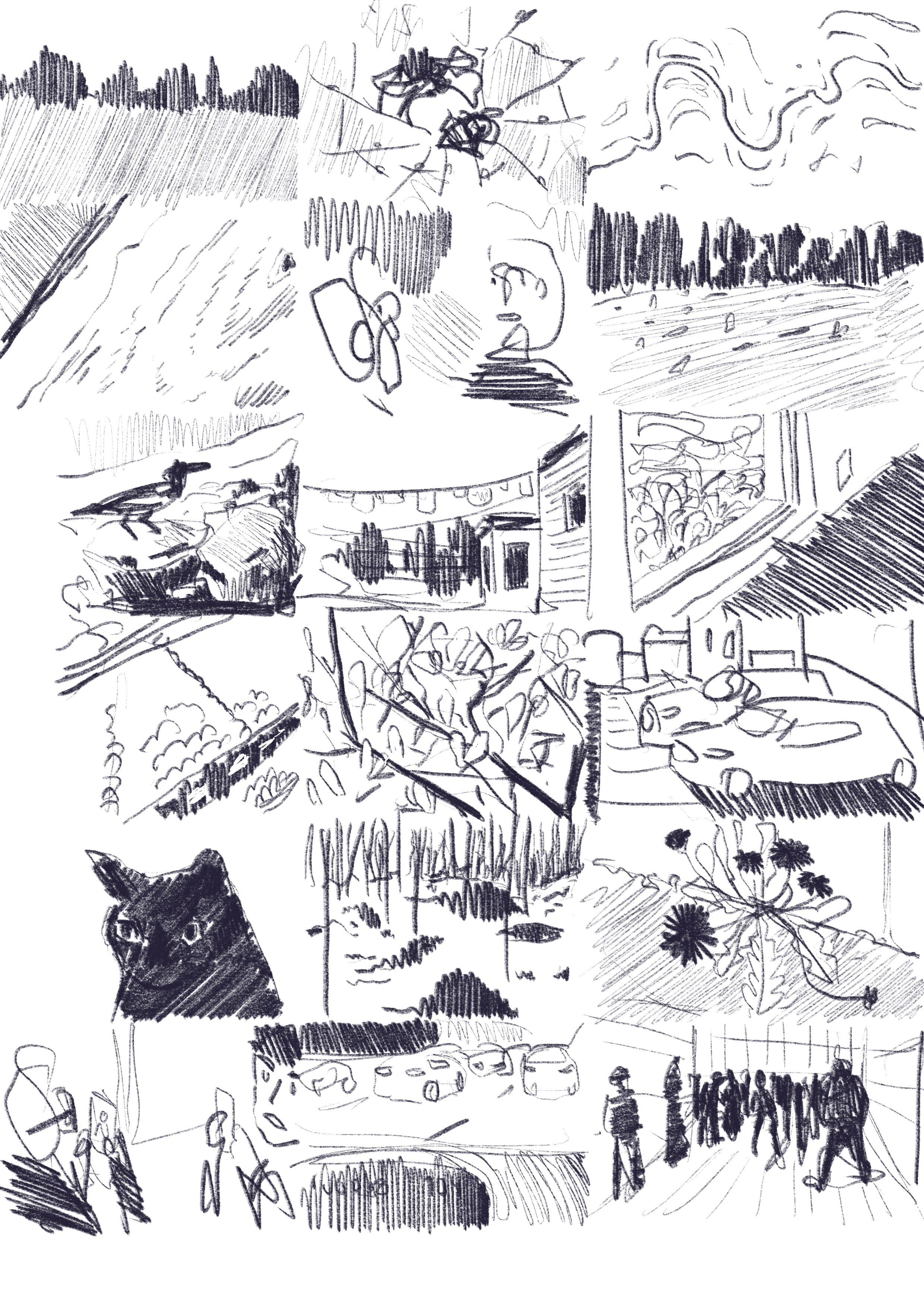 Extrait essai illustré