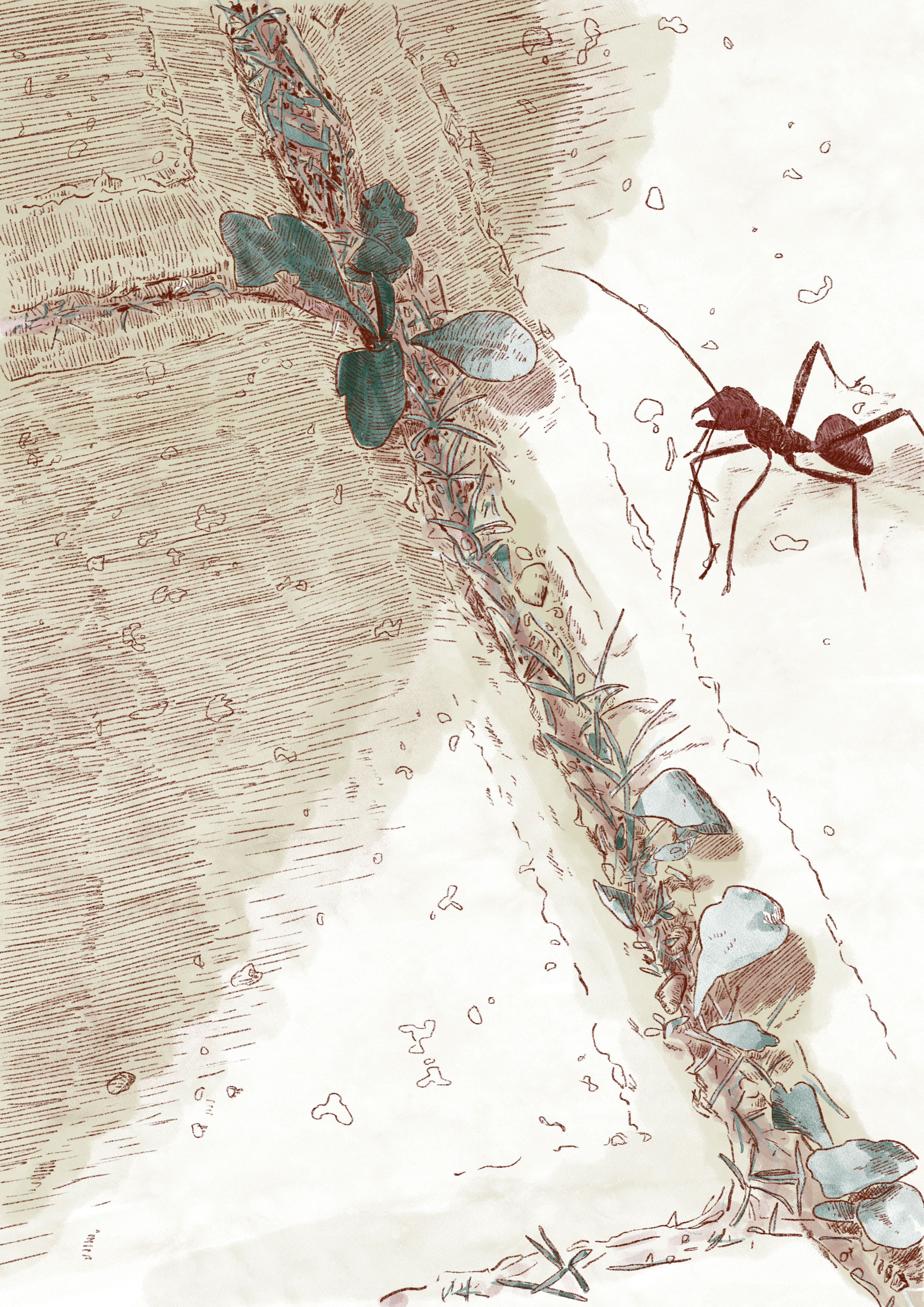 Extrait essai illustré